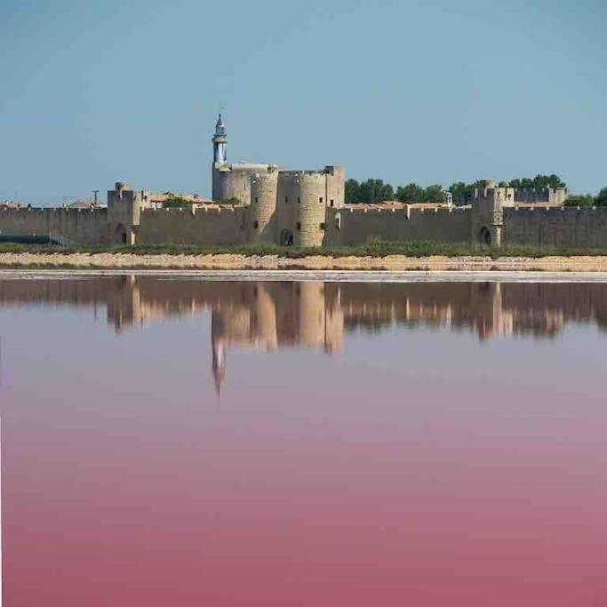 Maison Chaleureuse A 5 Mins Des Remparts Aigues-Mortes Ngoại thất bức ảnh