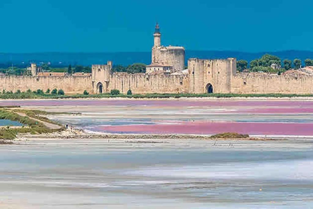 Maison Chaleureuse A 5 Mins Des Remparts Aigues-Mortes Ngoại thất bức ảnh